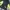 Mizuno Streetwear Sportswear Jersey Pria yellow black photo 6