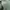 Alpha Industries Vintage Bomber jacket Pria green photo 5
