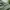 Alpha Industries Vintage Bomber jacket Pria green photo 4