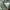 Alpha Industries Vintage Bomber jacket Pria green photo 3