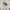 Japanese brand Vintage Casual Casual shirt Pria white cream photo 4