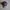 Vintage Y2K Hat Pria black photo 1
