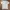 Hard Rock Cafe Streetwear T-shirt Pria white photo 2