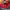 Puma Streetwear Sneakers Pria multicolor photo 2