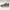 Skechers Sportswear Casual Sneakers Pria cream tan photo 2