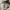 Kangol Streetwear Sportswear Bag Pria brown photo 6