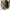 Kangol Streetwear Sportswear Bag Pria brown photo 3
