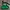 The North Face Gorpcore Sportswear Bag Pria green black photo 1