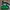 The North Face Gorpcore Sportswear Bag Pria Green Black