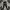 Y2K Emo Jeans Pria tan brown photo 2