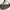 National Geographic Sportswear Casual Bag Pria gray photo 4