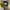 Timberland Streetwear Y2K Boots Pria yellow photo 2