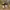 Timberland Streetwear Y2K Boots Pria yellow photo 4