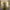 Timberland Streetwear Y2K Boots Pria yellow photo 3