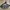 The North Face Streetwear Sportswear Bag Pria multicolor photo 3