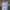 Sportswear Casual Jersey Pria white photo 1