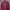 Adidas Sportswear Jersey Pria red photo 2