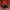 Skechers Casual Outerwear Kids red photo 1