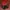Skechers Casual Outerwear Kids Red