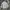 Uniqlo Streetwear Casual Casual Shirt Pria White Gray