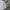 Uniqlo Streetwear Casual Casual shirt Pria white blue photo 2