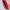 Sportswear Casual Bag Pria red photo 5