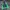 The North Face Streetwear Outerwear Kids green photo 5