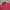 Biker Outerwear Kids Burgundy