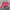 Biker Outerwear Kids burgundy photo 5