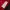 Biker Outerwear Kids burgundy photo 4