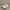 Converse Casual Sneakers Wanita white photo 1