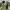 Pleasures Streetwear Casual Formal shirt Pria multicolor photo 5