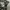 Pleasures Streetwear Casual Formal shirt Pria multicolor photo 4