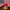 Casual Hat Pria Red