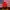 Casual Hat Pria red photo 5