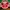 Casual Hat Pria red photo 6