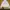 Japanese Brand Vintage Y2K Hoody Pria Multicolor White