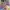 Lolita Fairy T-shirt Kids multicolor photo 2
