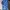 Adidas Streetwear Sportswear Jersey Pria red blue photo 2