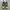 Converse Streetwear Sportswear Sneakers Pria white black photo 5
