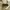 Converse Streetwear Sportswear Sneakers Pria white black photo 7