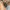 Vintage Casual Wanita silver green photo 3