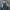 Mango Streetwear Outerwear Kids blue photo 1