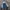 Mango Streetwear Outerwear Kids blue photo 6