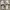 Vintage Flat Wanita gray photo 1