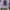 H&M Streetwear Y2K Hoody Pria purple photo 2