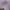 H&M Streetwear Y2K Hoody Pria purple photo 3