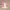 Lolita Cardigan Wanita cream pink photo 3