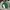 Polo Ralph Lauren Casual Sweater Pria green photo 1
