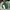 Polo Ralph Lauren Casual Sweater Pria Green